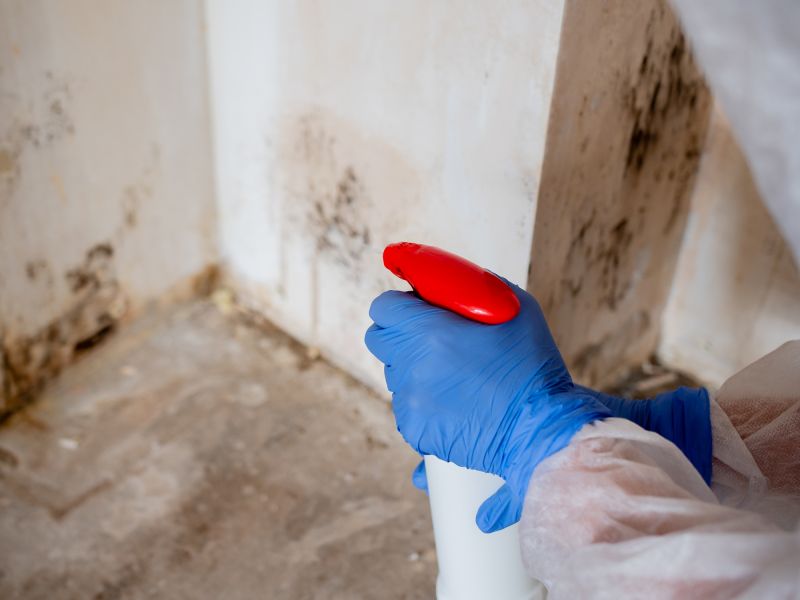 Mold Prevention Strategies