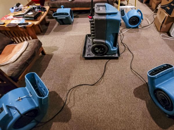 Flood Damage Recovery in Golden
