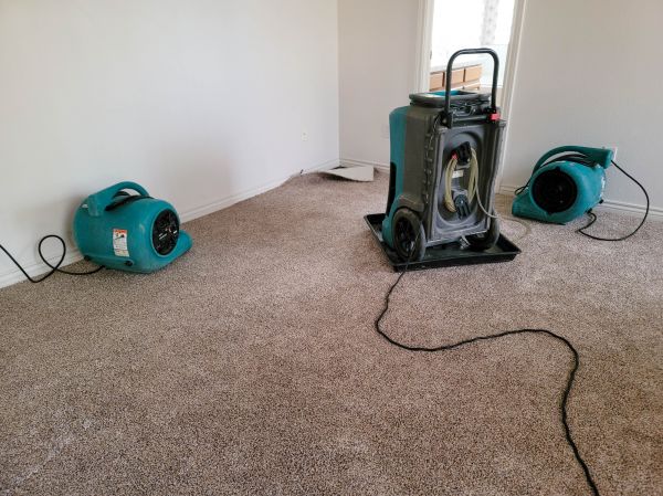 Flood Damage Repair in Golden