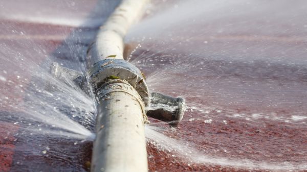 Cost of Burst Pipe Cleanup in Golden
