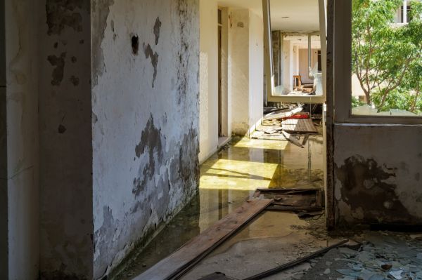 Water Removal Service in Golden
