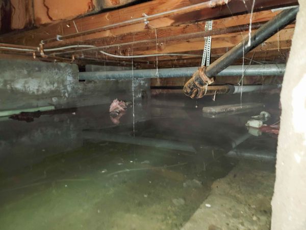 Water Mitigation Service in Golden