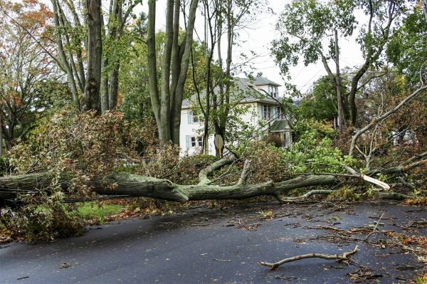 Tornado Damage Repair in Golden