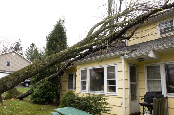 Hurricane Damage Repair in Golden